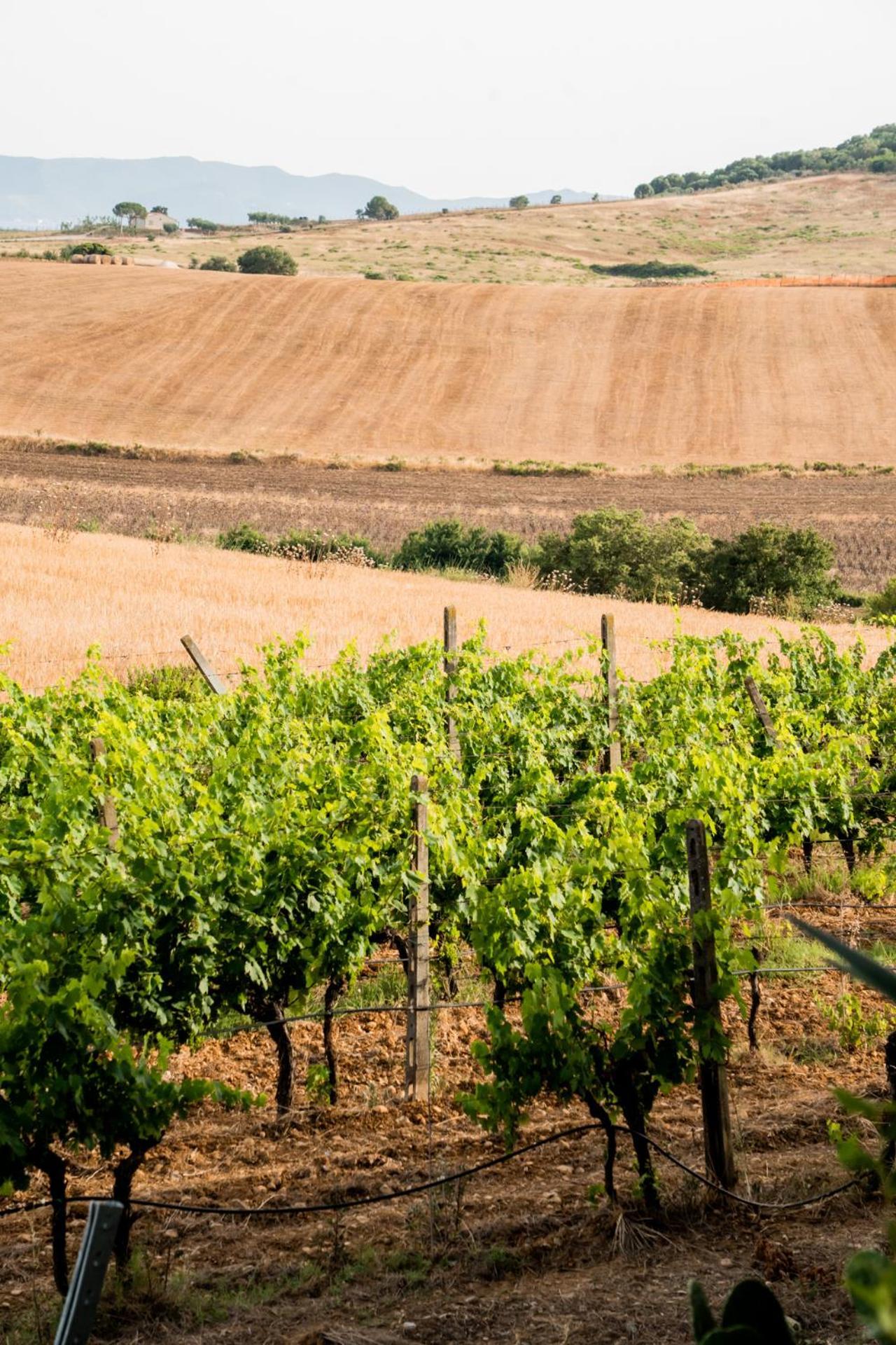 Agriturismo Rascioni & Cecconello Fonteblanda